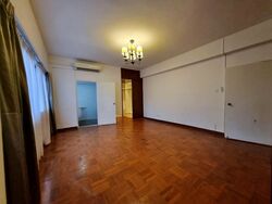 The Cairnhill (D9), Condominium #556811091